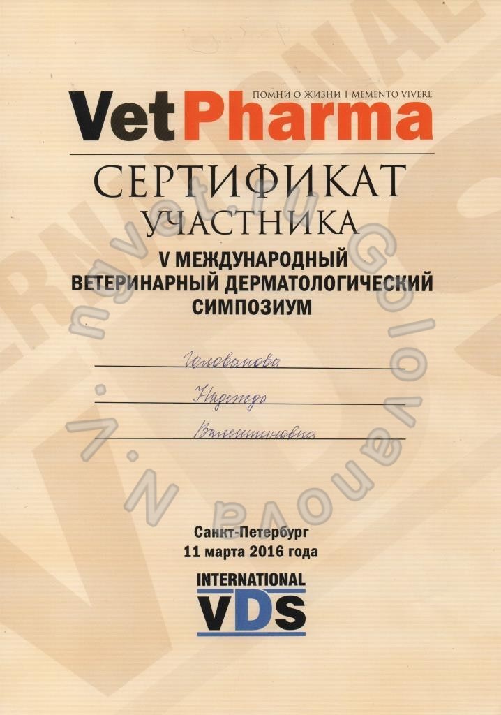 Сертификат ветеринарного врача Головановой Н.В. как участника Пятого Международного ветеринарного дерматологического симпозиума 2016