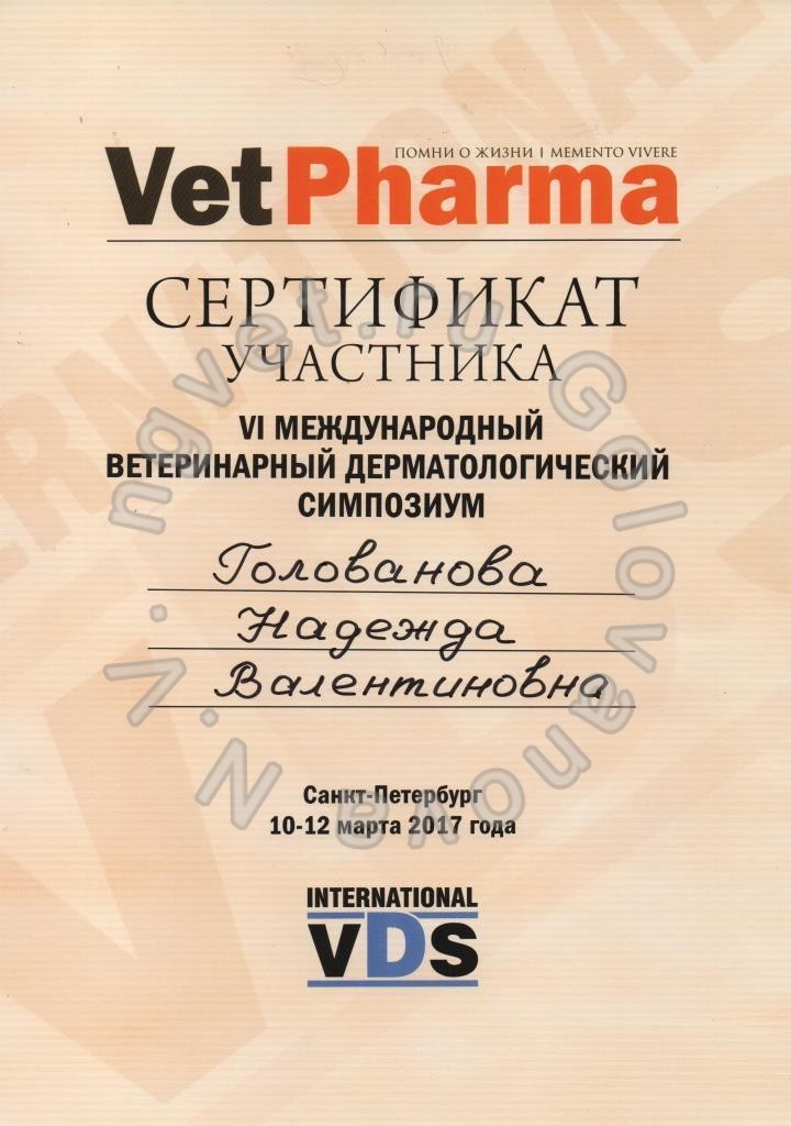Сертификат ветеринарного врача Головановой Н.В. как участника Шестого Международного ветеринарного дерматологического симпозиума 2017