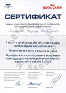 Сертификат ветеринарного врача Головановой Н.В. как участника курса "Ветеринарная дерматология"