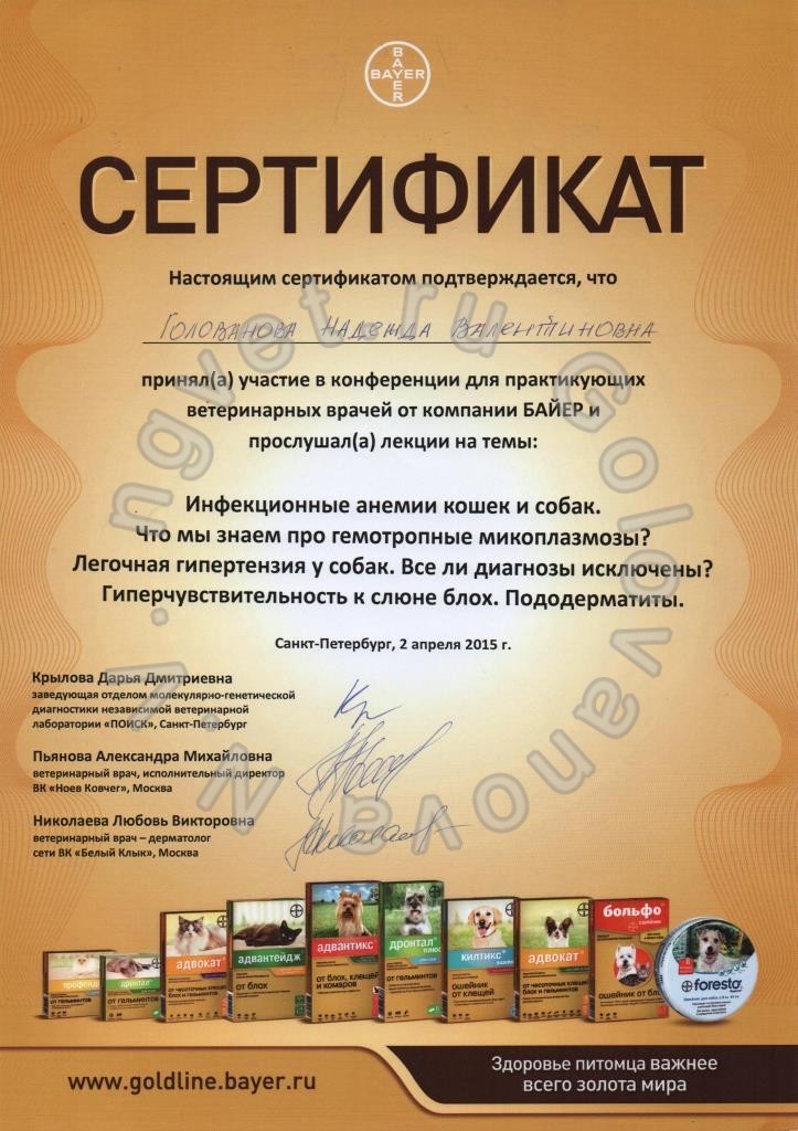 Сертификат ветеринарного врача Головановой Н.В. как участника тематической конференции для практикующих ветеринарных врачей от компании БАЙЕР. 2015