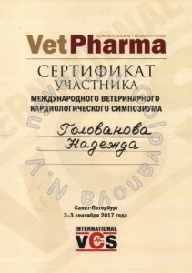 Сертификат ветеринарного врача Головановой Н.В. как участника Международного ветеринарного кардиологического симпозиума. 2017