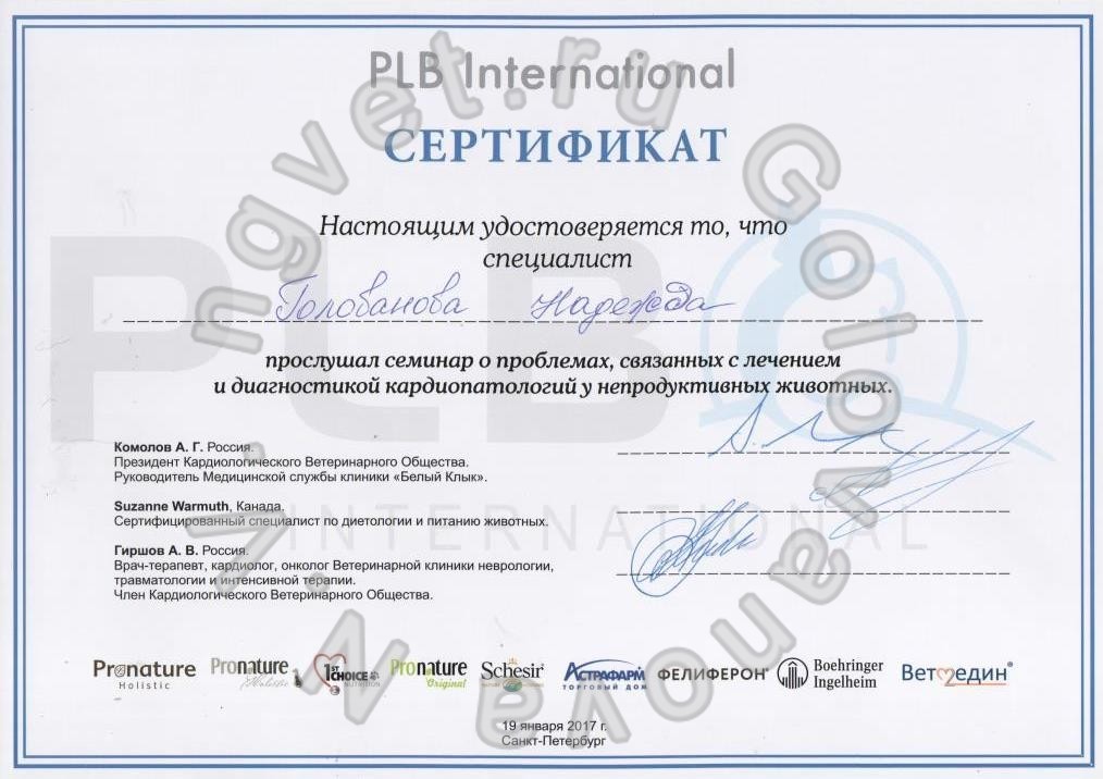 Сертификат ветеринарного врача Головановой Н.В. как участника семинара о проблемах лечения и диагностики кардиопатологий у непродуктивных животных. 2017