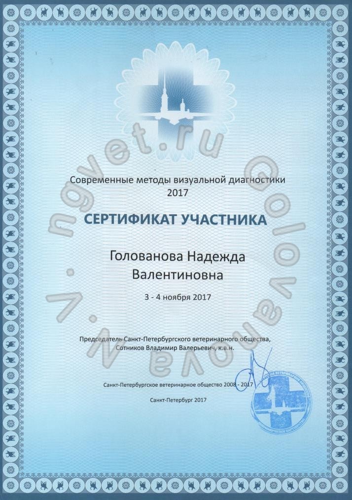 Сертификат ветеринарного врача Головановой Н.В. как участника семинара "Современные методы визуальной диагностики" 2017