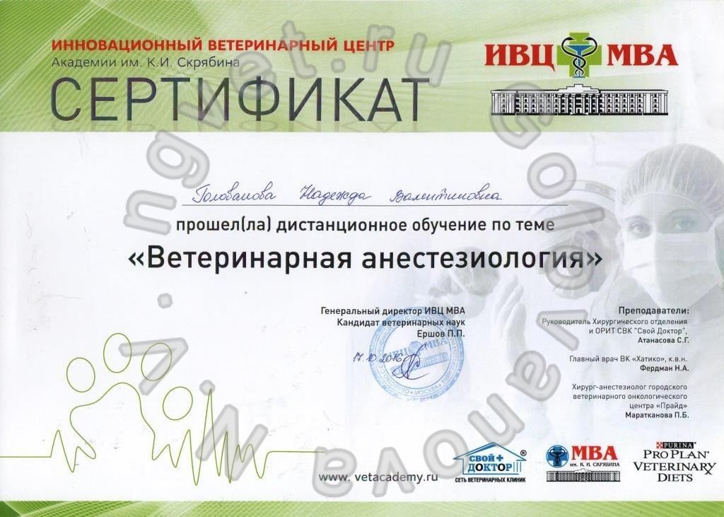 Сертификат ветеринарного врача Головановой Н.В. как участника дистанционного курса обучения по теме "Ветеринарная анестезиология"