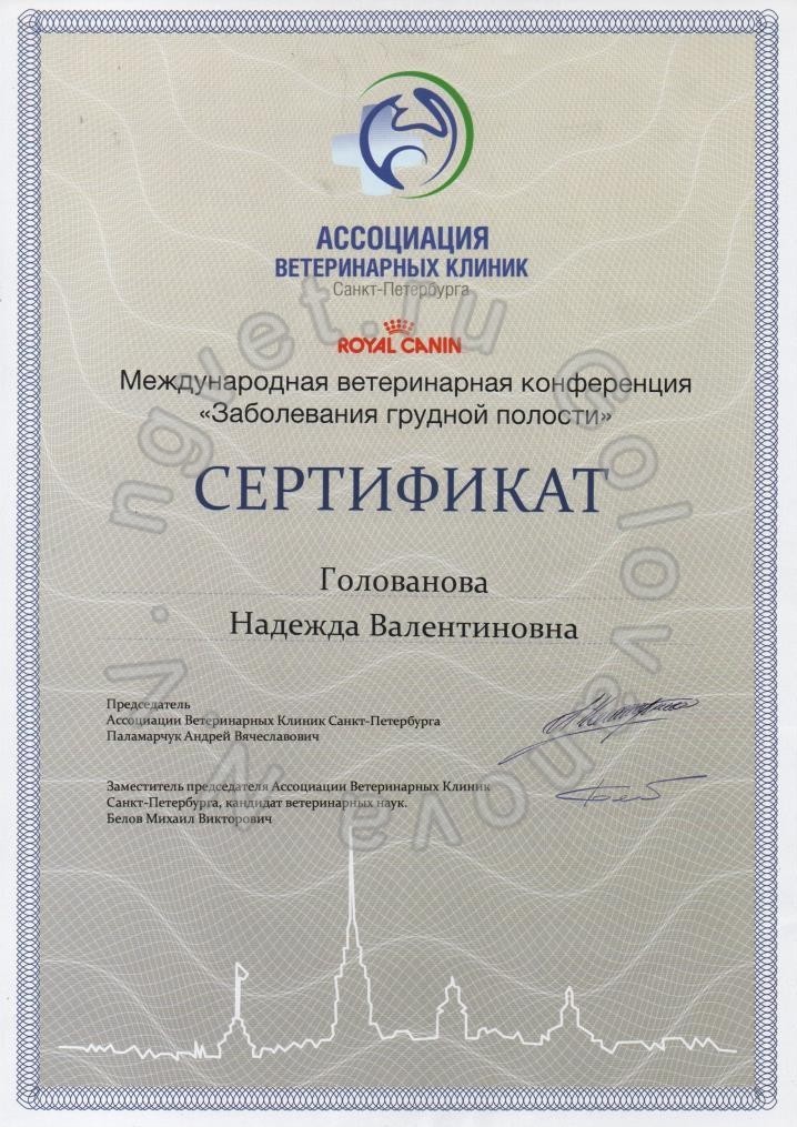 Сертификат ветеринарного врача Головановой Н.В. как участника Международной ветеринарной конференции "Заболевания грудной полости"