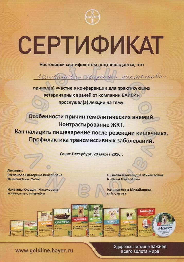 Сертификат ветеринарного врача Головановой Н.В. как участника тематической конференции от кампании БАЙЕР 29.03.2016